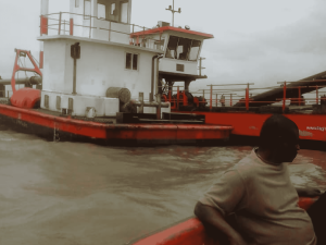 Read more about the article Lagos Lagoon Enhancement